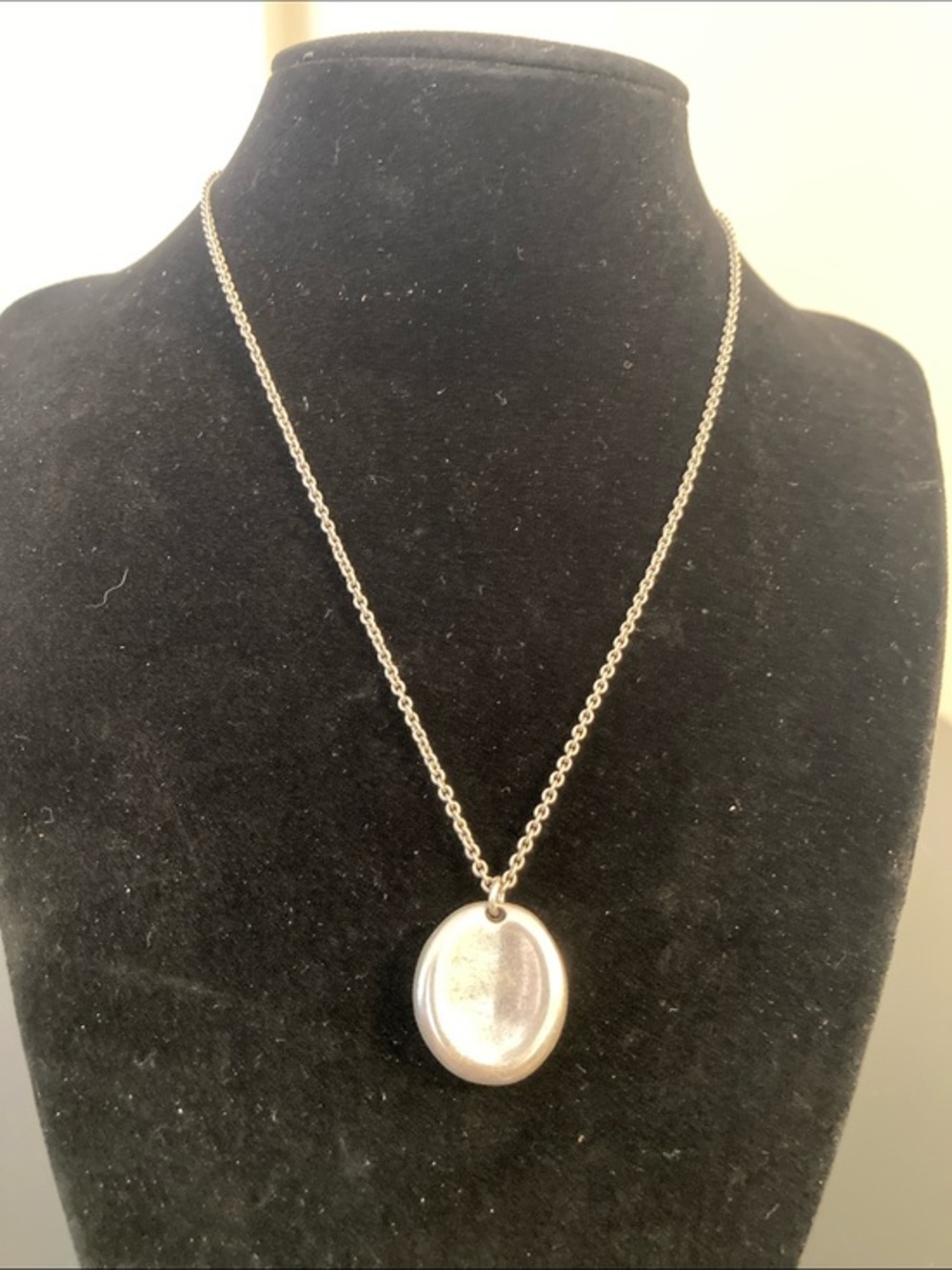 American Eagle Outfitters Silver Oval Pendant Necklace